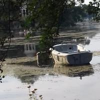 Petit matin - Bois de Vincennes - Paris