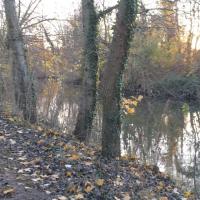 Les bords de l'Orge à Savigny