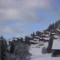 Les chalets de Drouzin