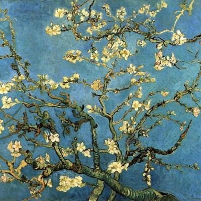 Branches d amandier en fleurs 1890