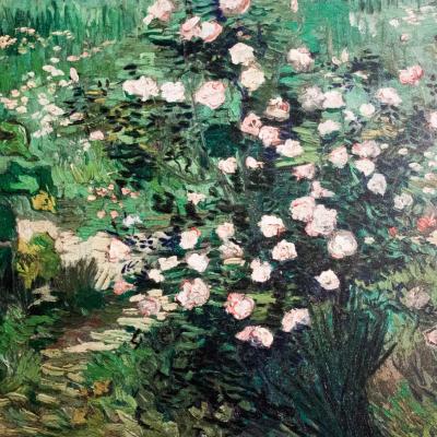 Rosiers en fleurs 1889